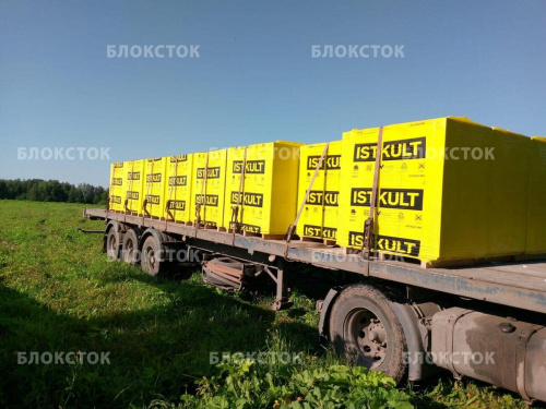 Пеноблоки Istkult D500 625х250х375 стеновые
